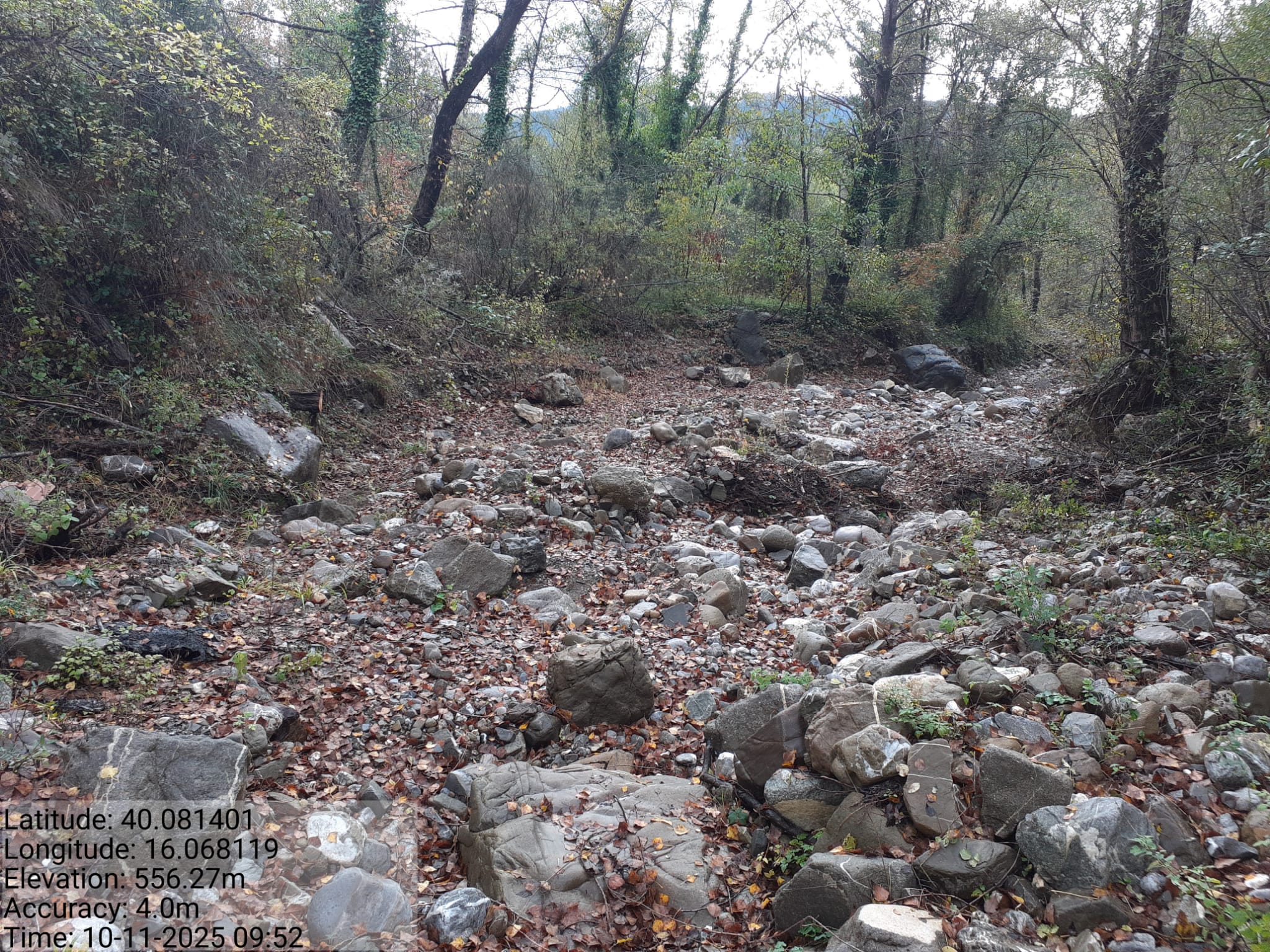 Galleria Fotografica Immagine