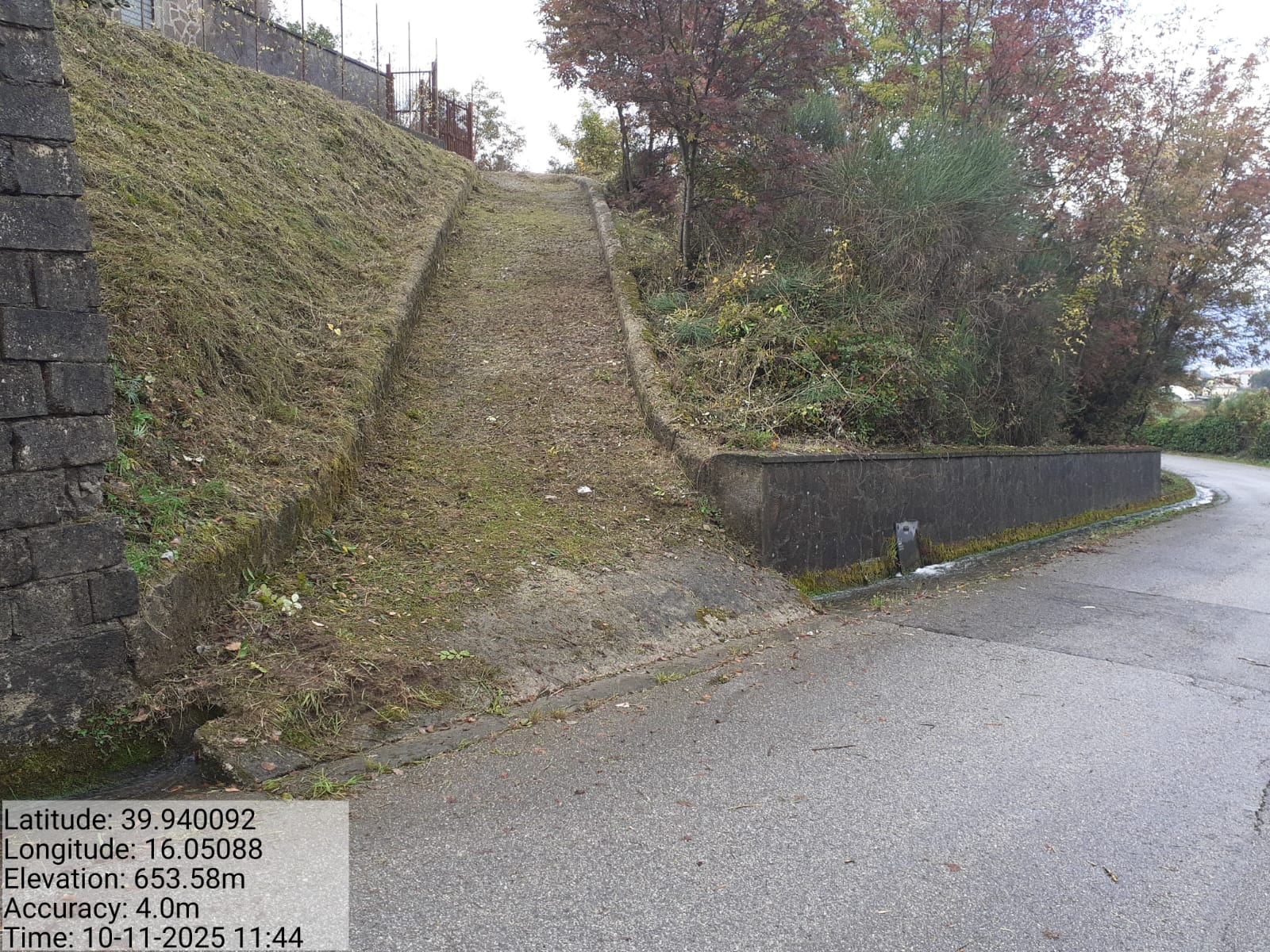 Galleria Fotografica Immagine