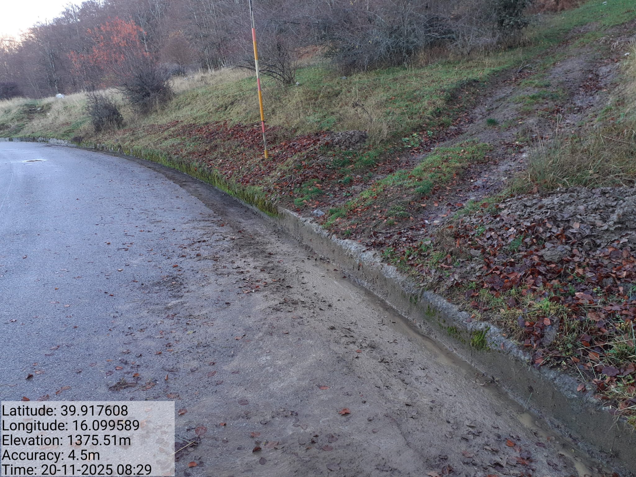 Galleria Fotografica Immagine