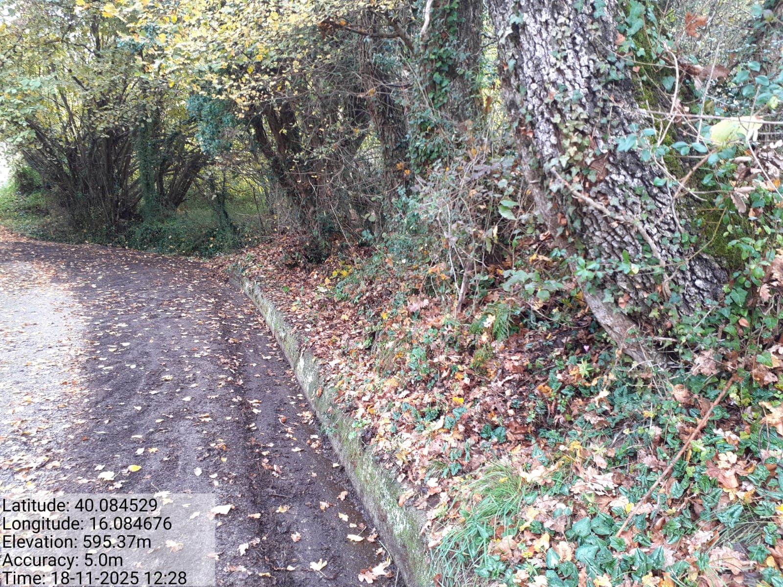 Galleria Fotografica Immagine