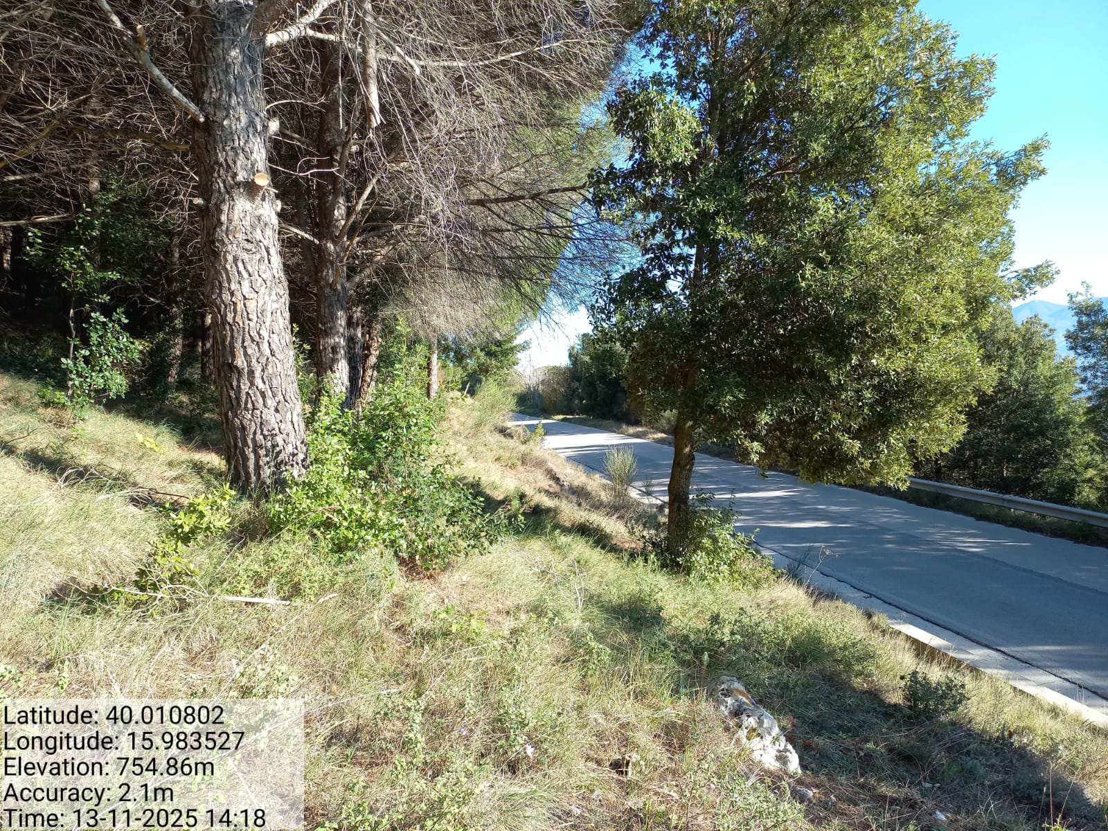 Galleria Fotografica Immagine