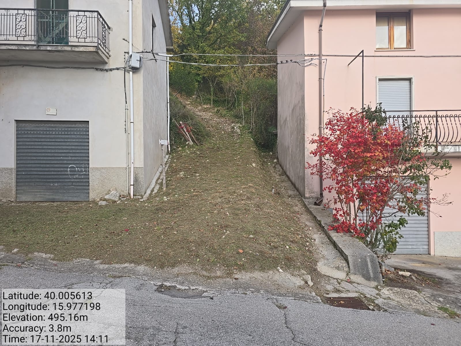 Galleria Fotografica Immagine