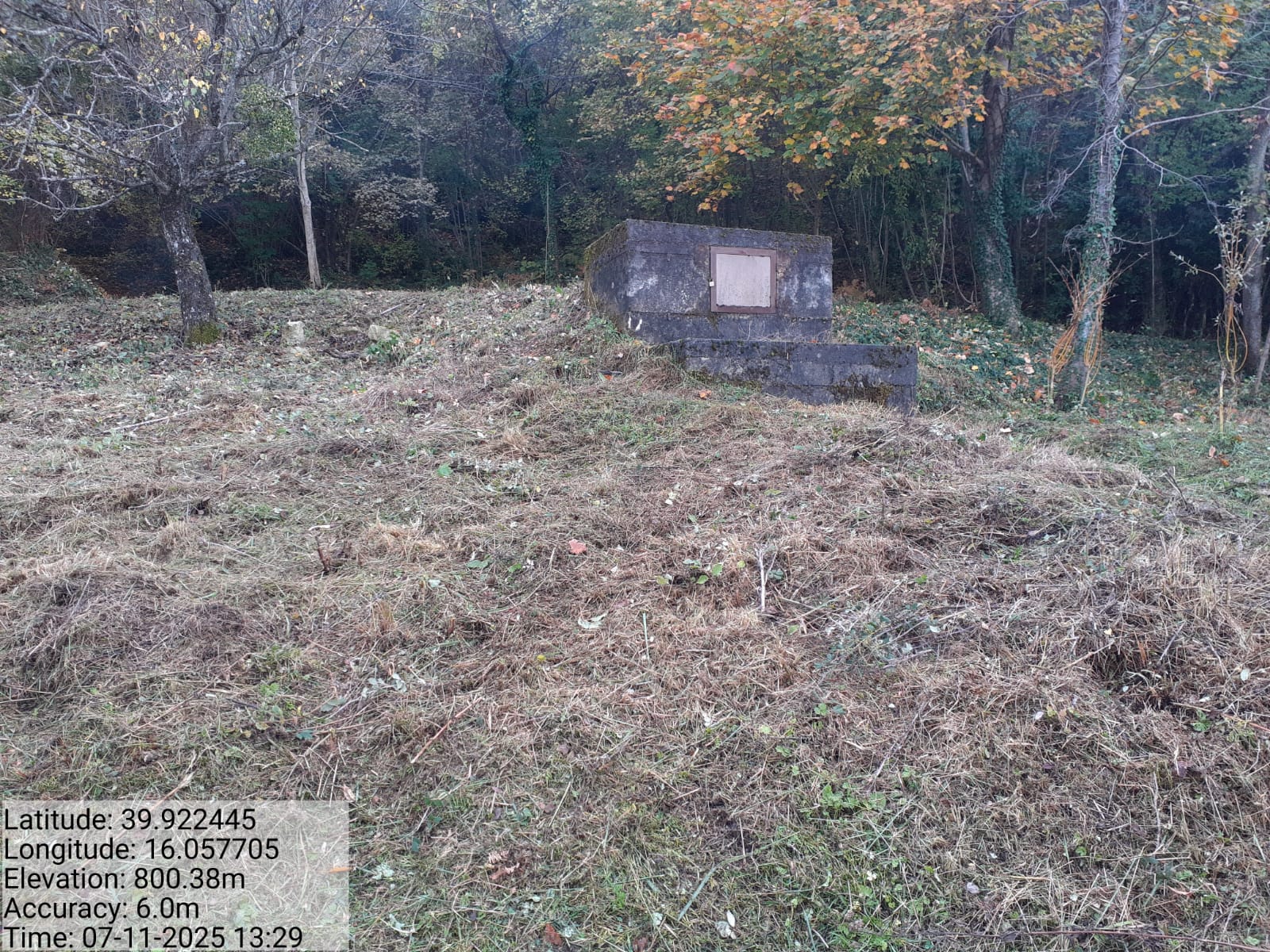 Galleria Fotografica Immagine