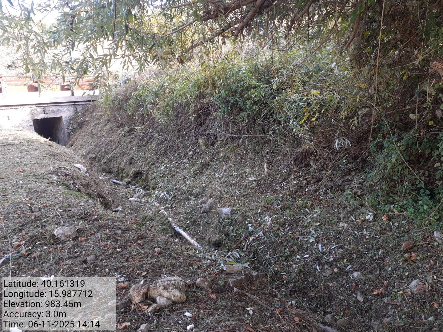 Galleria Fotografica Immagine