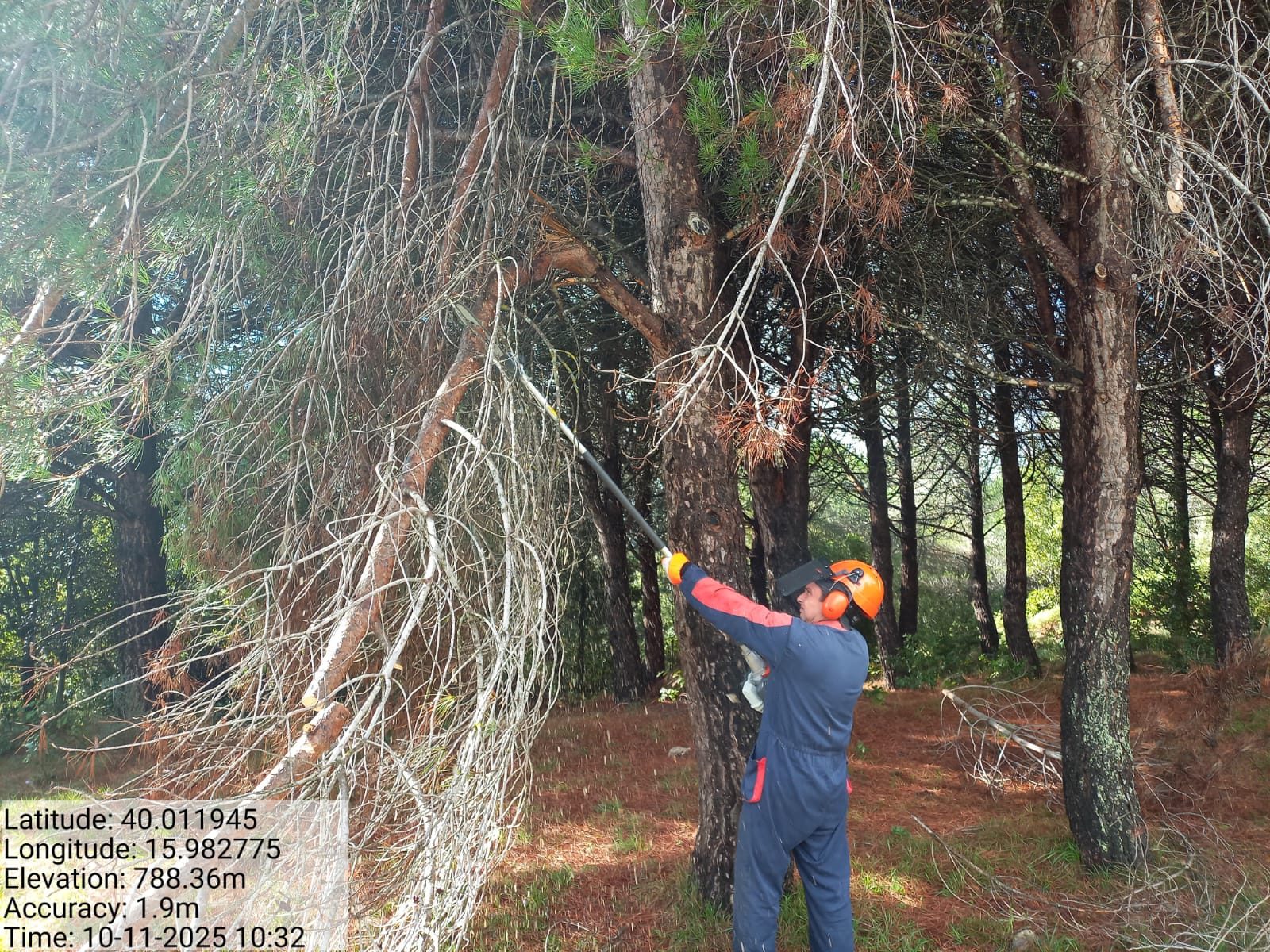 Galleria Fotografica Immagine