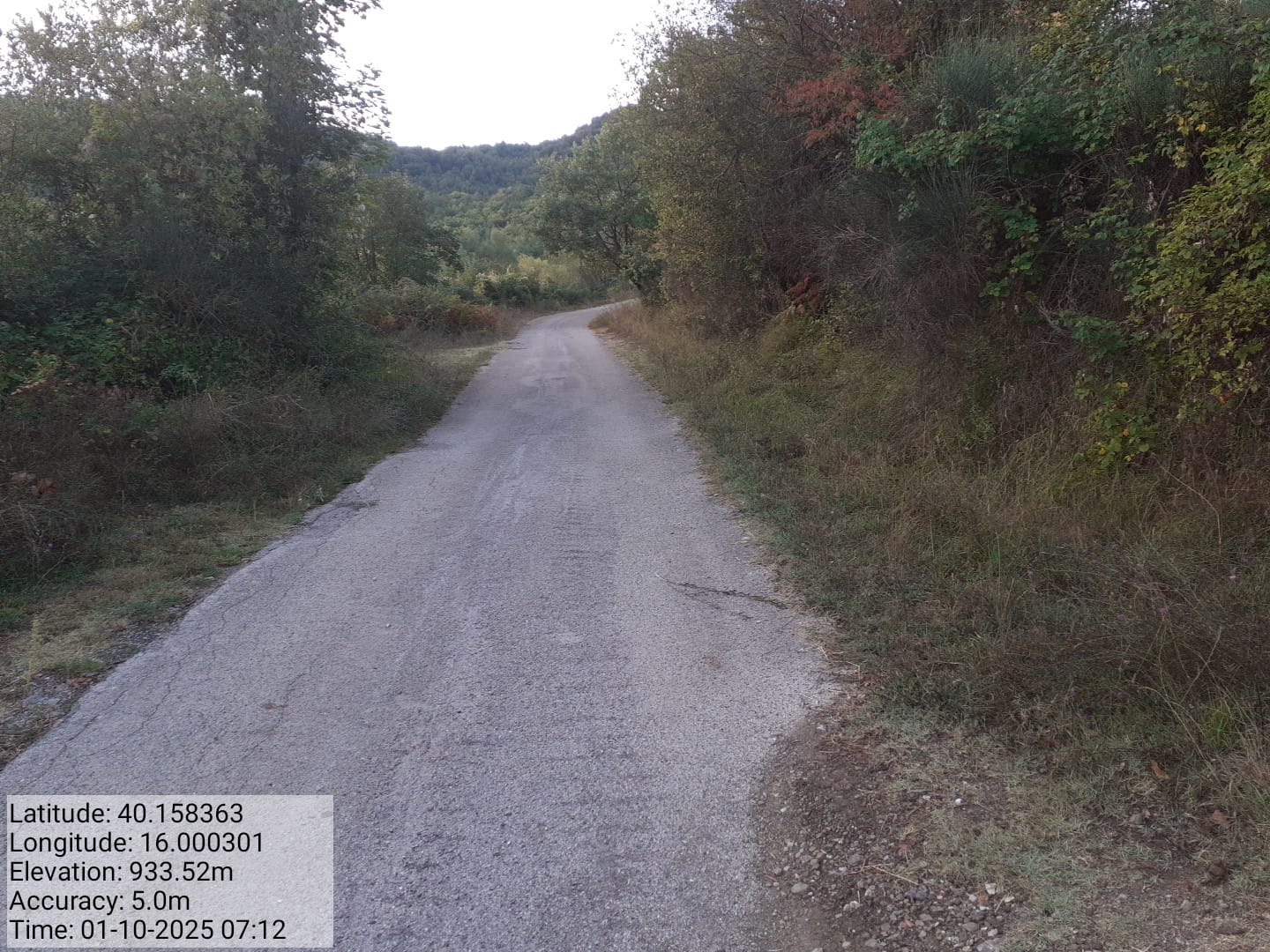 Galleria Fotografica Immagine