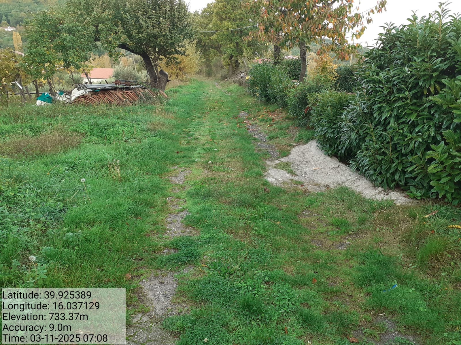 Galleria Fotografica Immagine