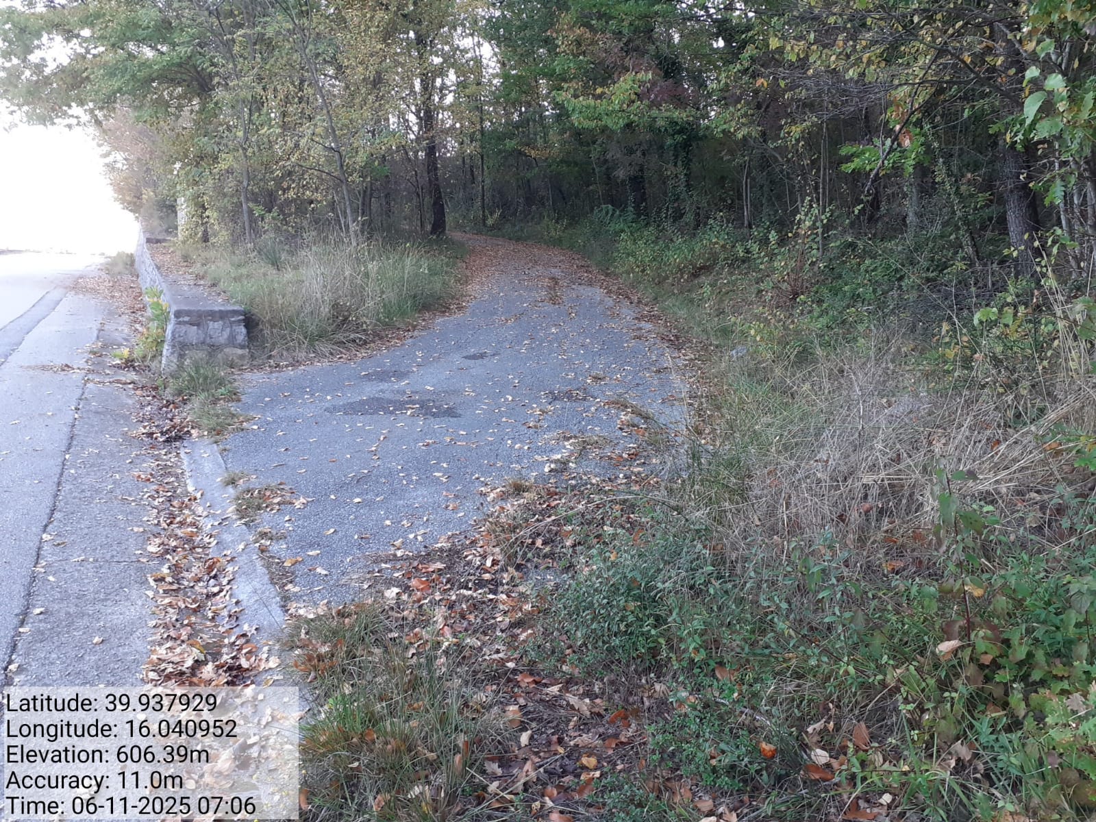 Galleria Fotografica Immagine