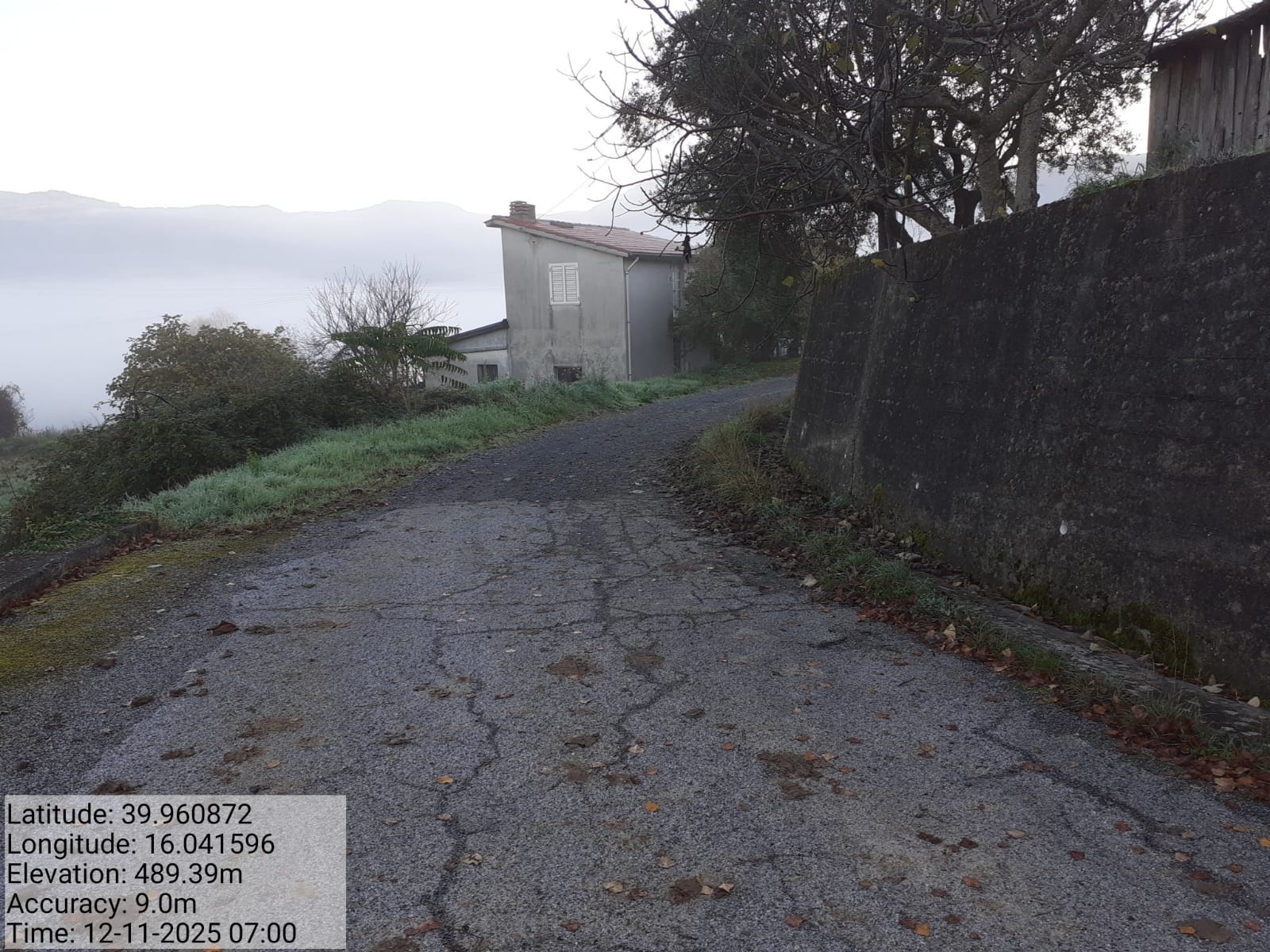 Galleria Fotografica Immagine