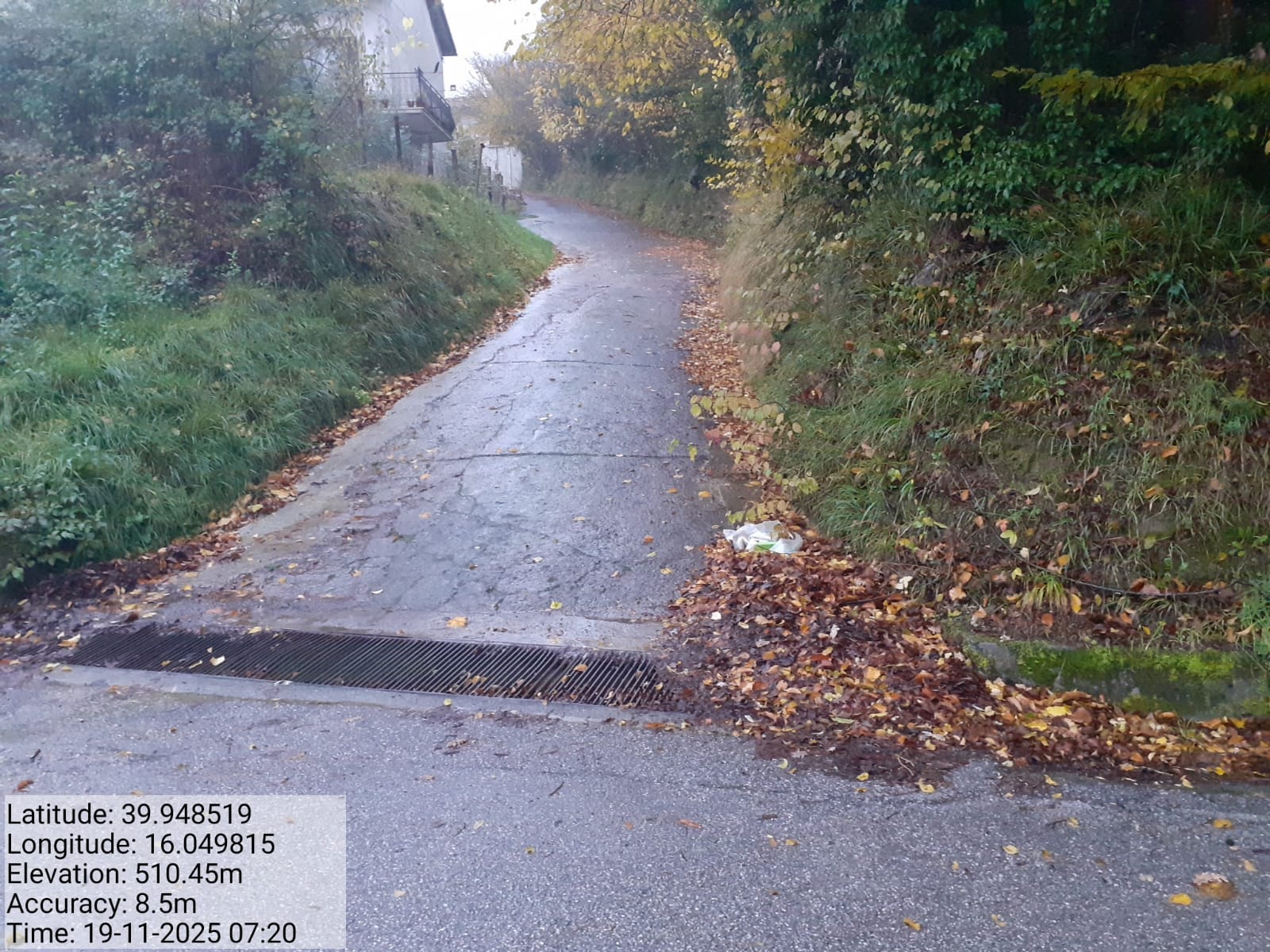 Galleria Fotografica Immagine