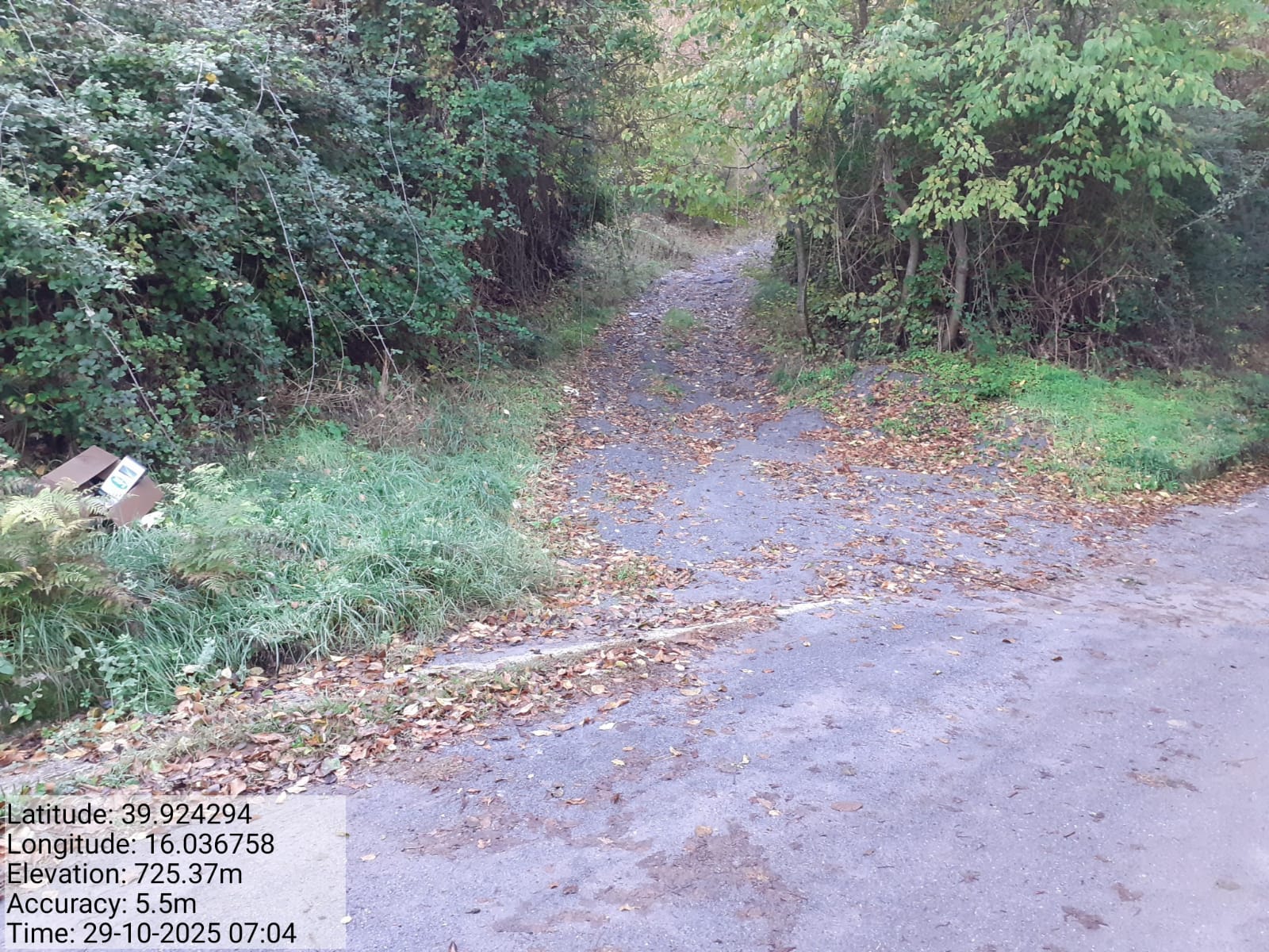 Galleria Fotografica Immagine