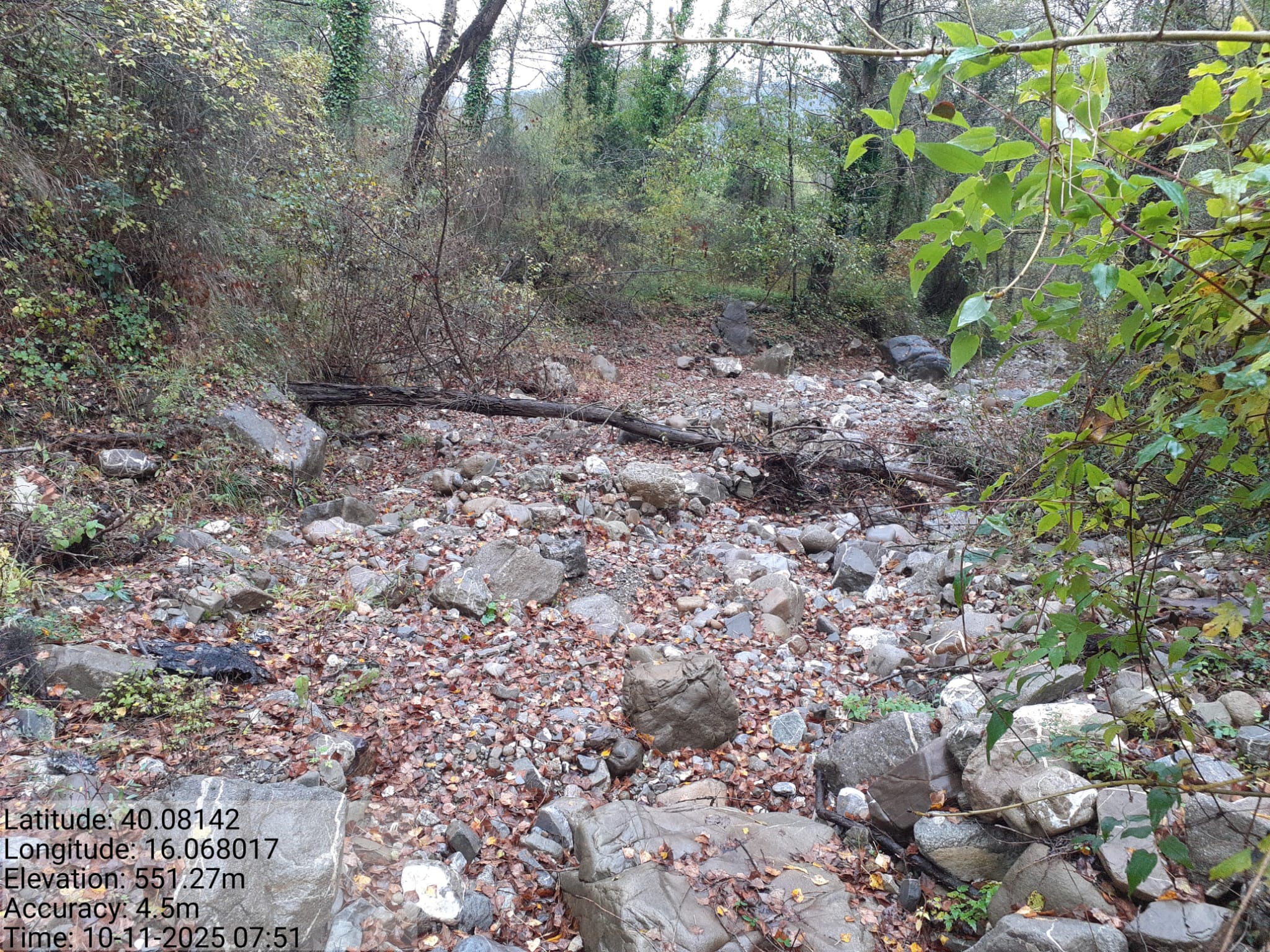 Galleria Fotografica Immagine