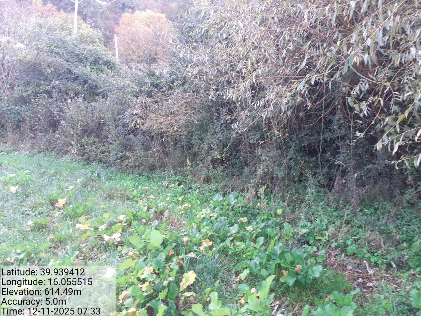 Galleria Fotografica Immagine