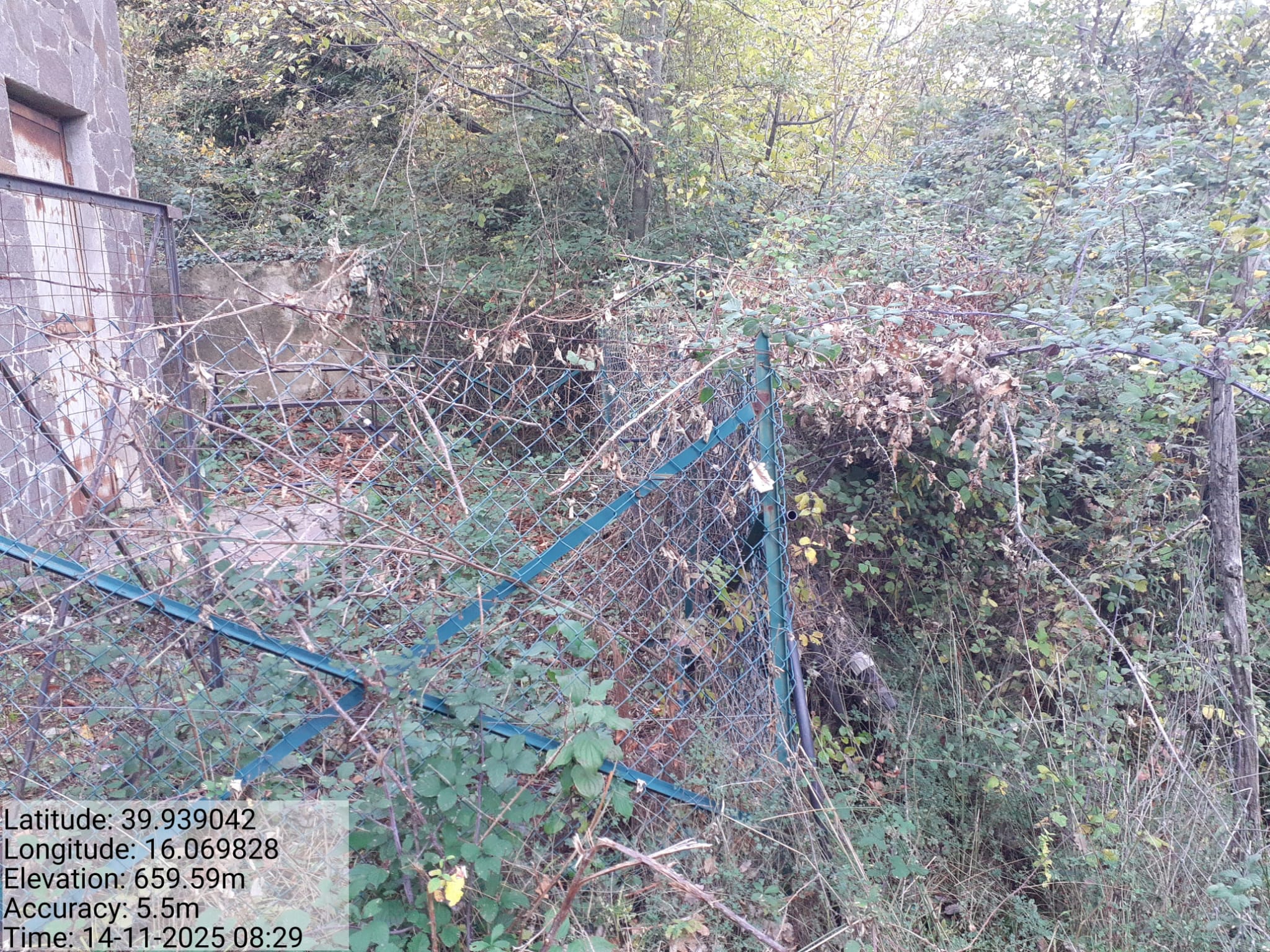 Galleria Fotografica Immagine