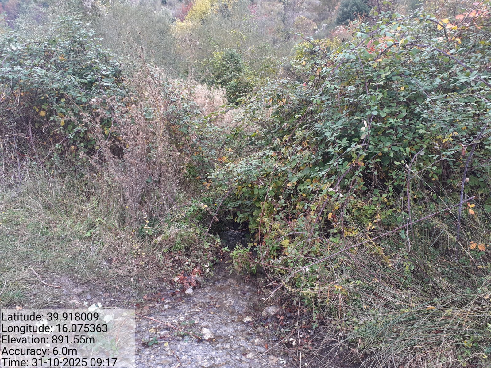 Galleria Fotografica Immagine