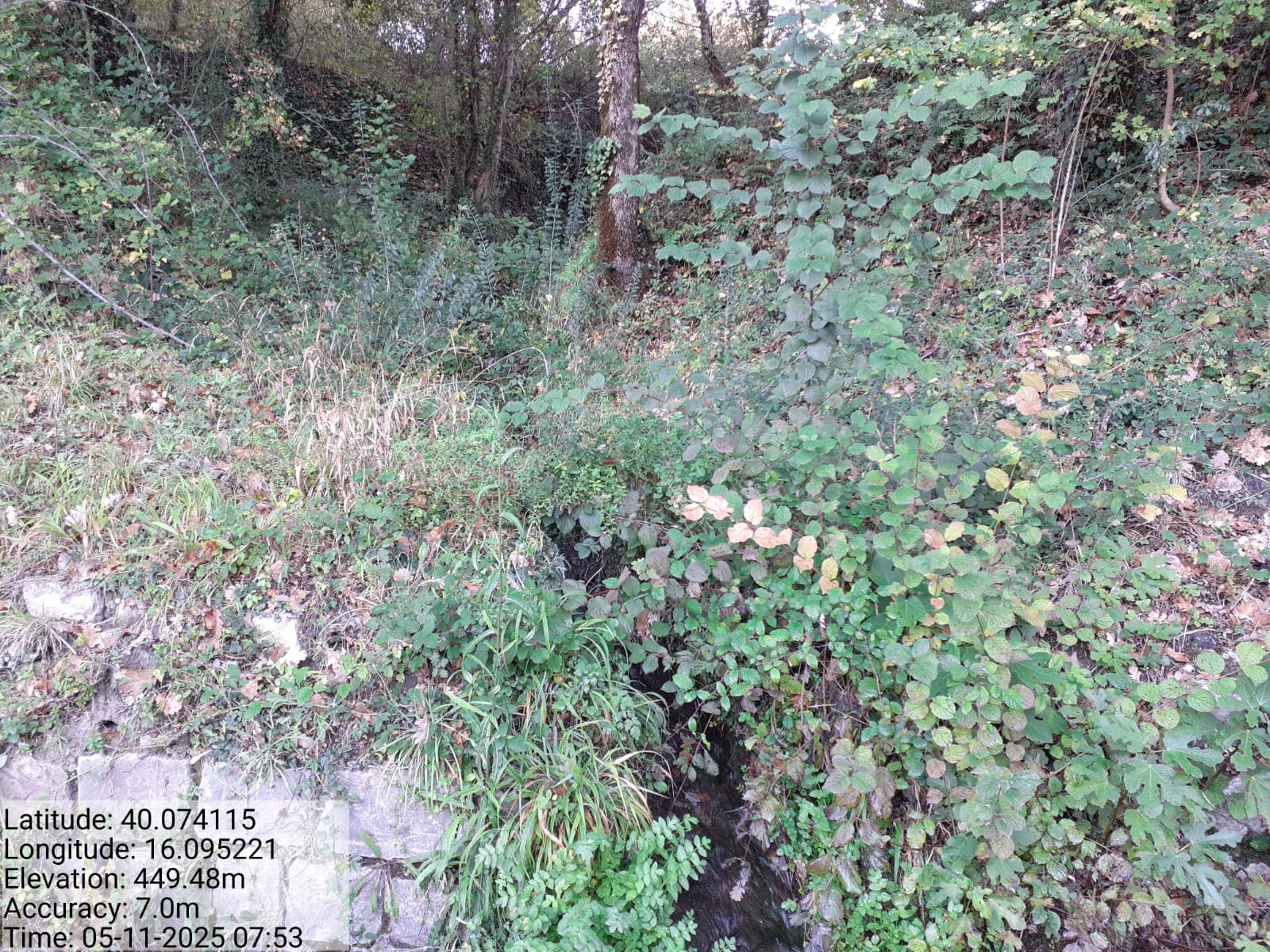 Galleria Fotografica Immagine