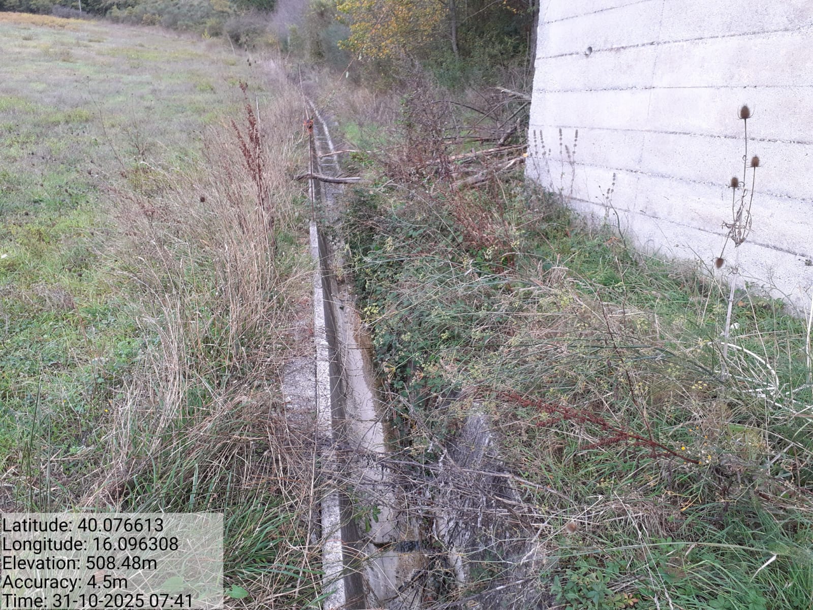 Galleria Fotografica Immagine