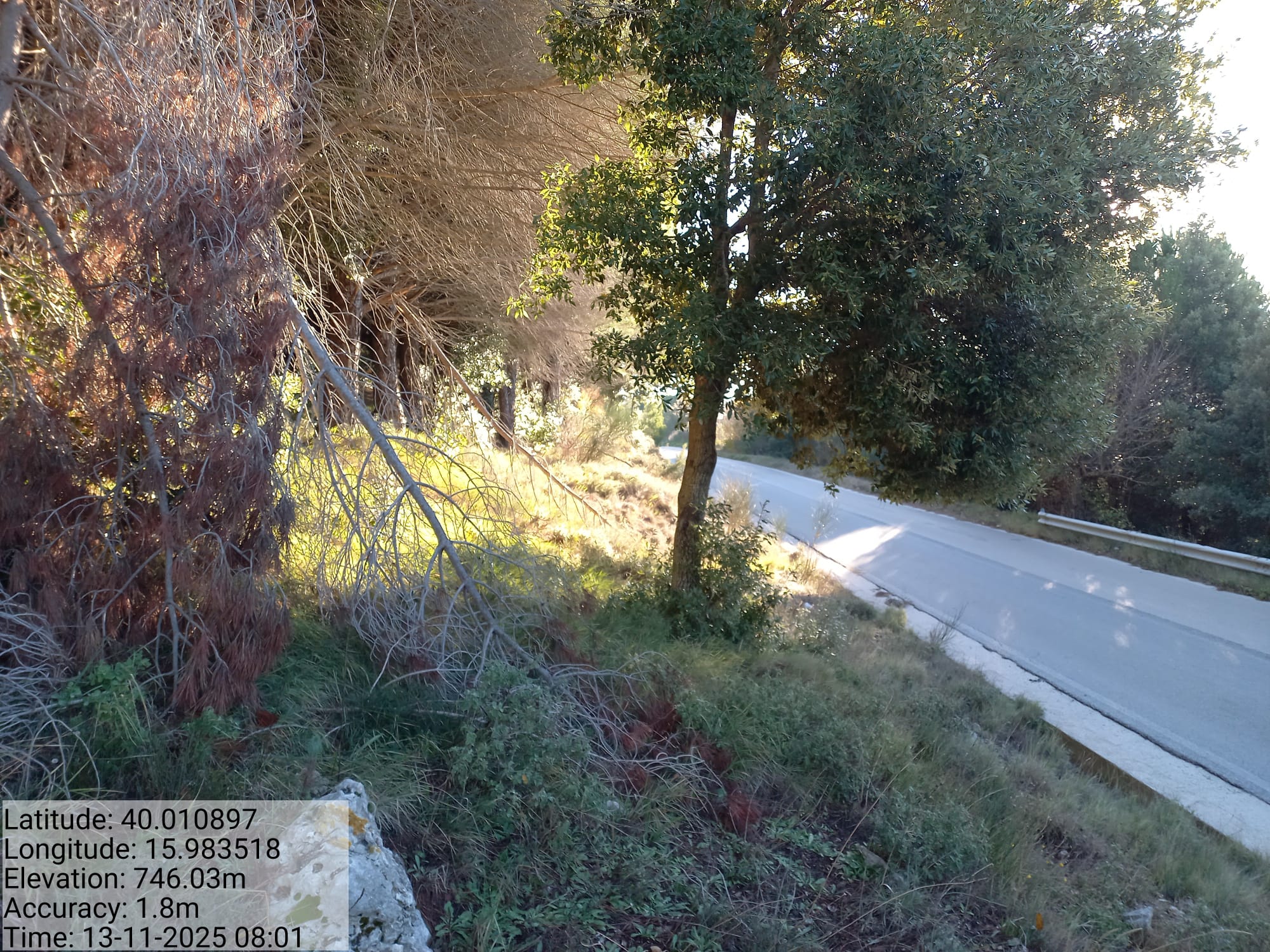 Galleria Fotografica Immagine