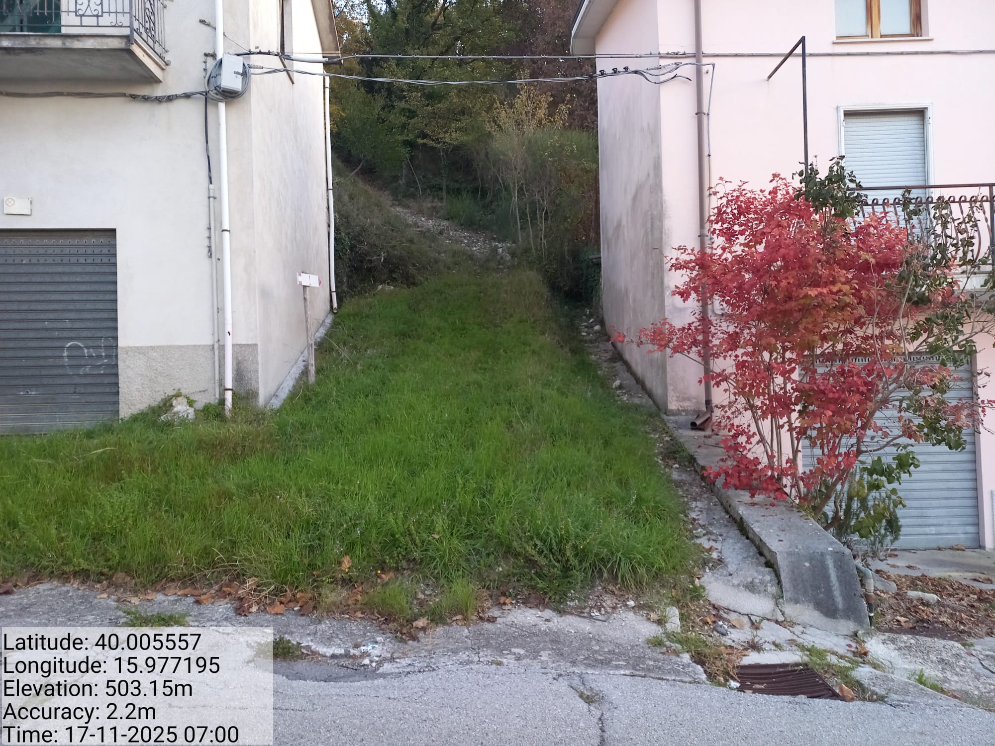 Galleria Fotografica Immagine