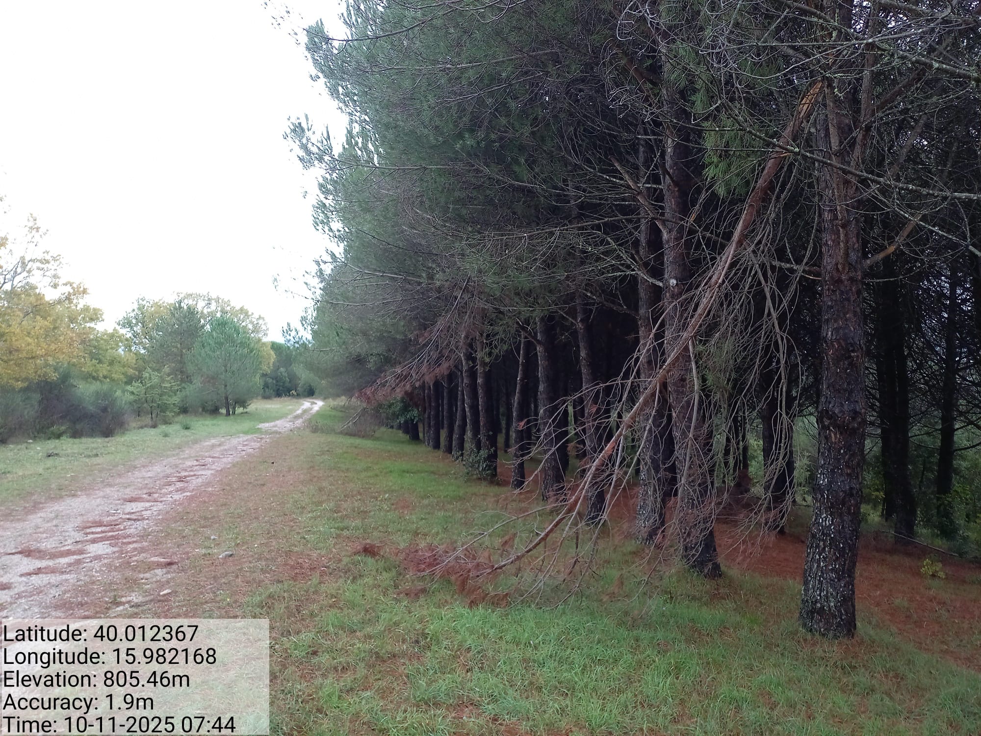 Galleria Fotografica Immagine