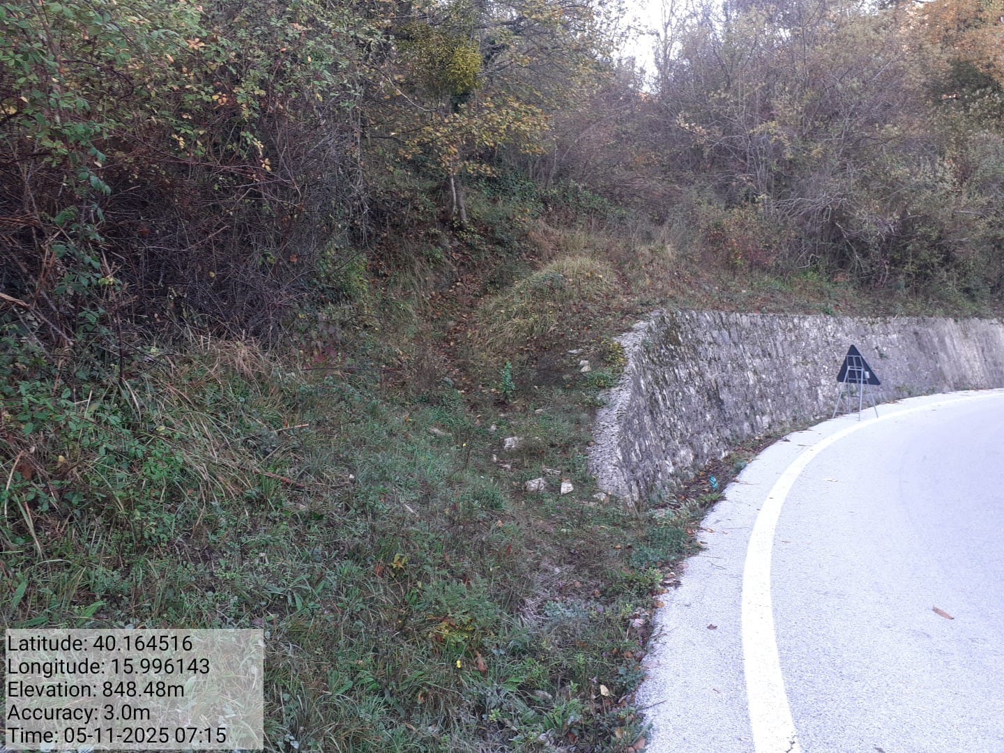 Galleria Fotografica Immagine