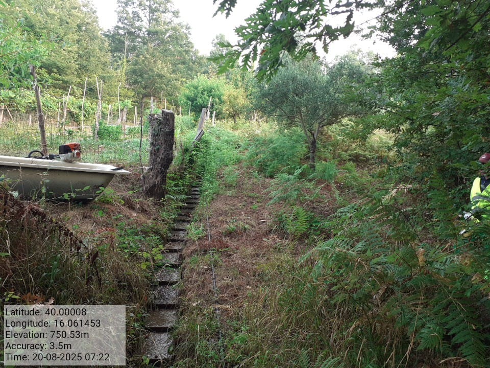 Galleria Fotografica Immagine