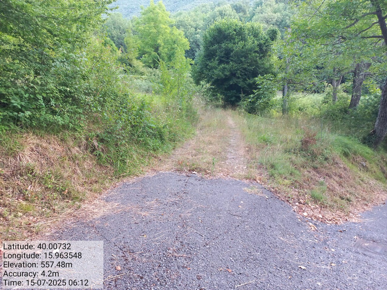 Galleria Fotografica Immagine