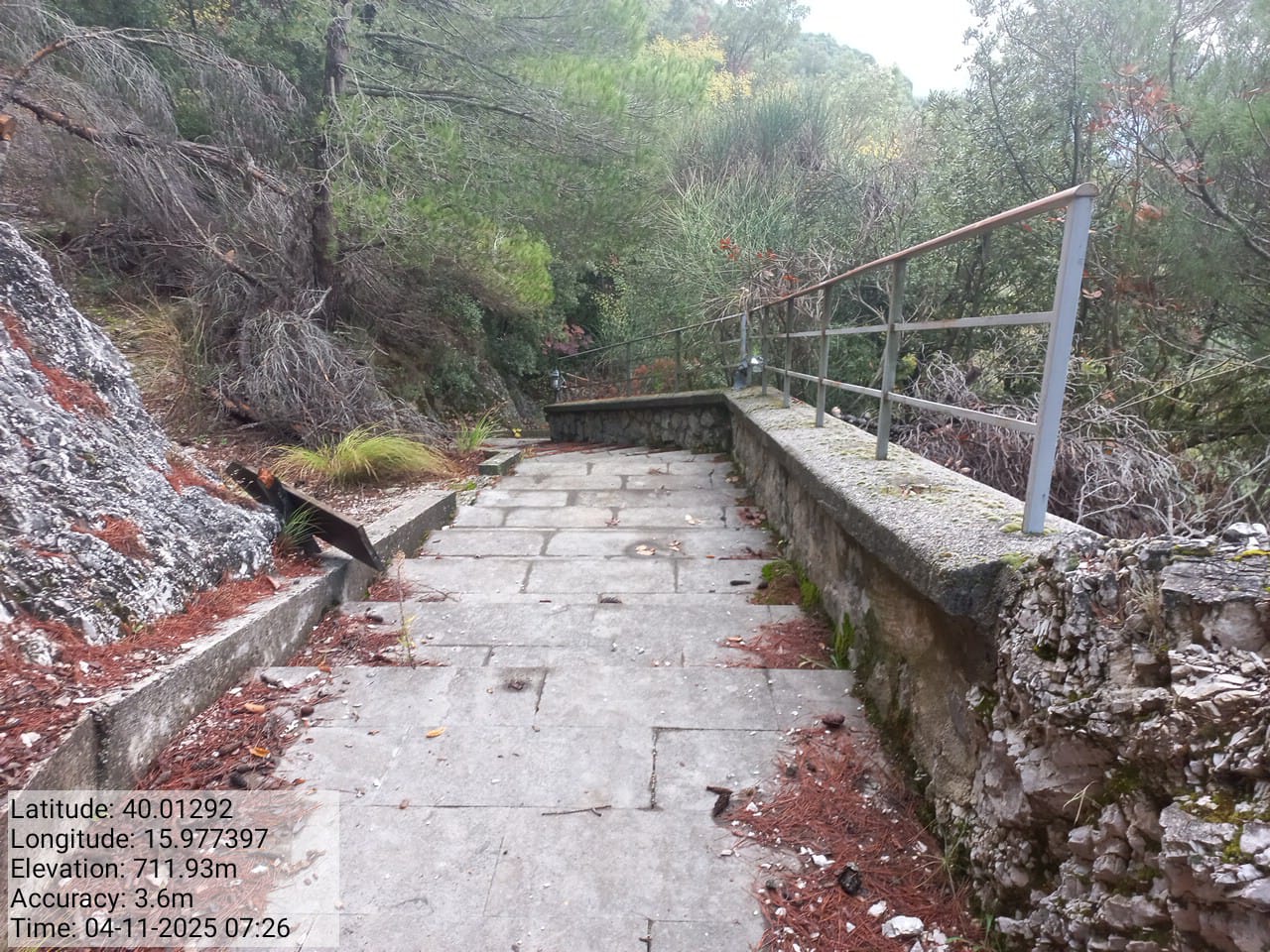 Galleria Fotografica Immagine