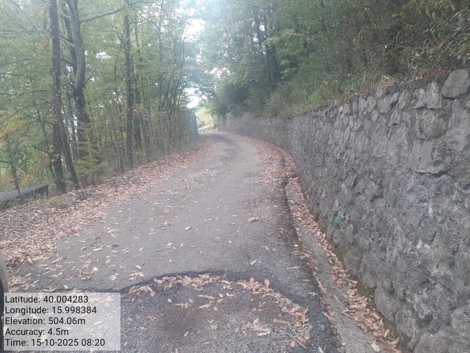 Galleria Fotografica Immagine