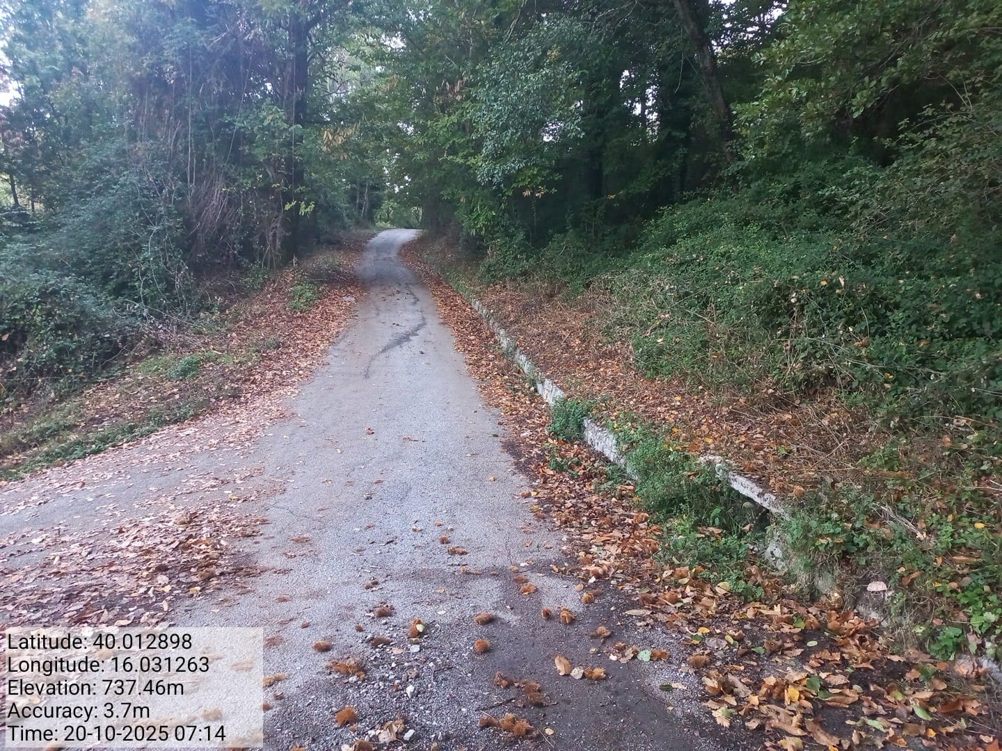 Galleria Fotografica Immagine