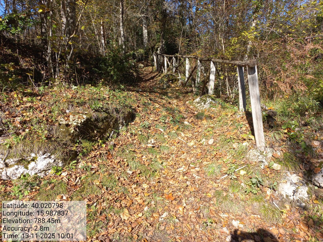 Galleria Fotografica Immagine