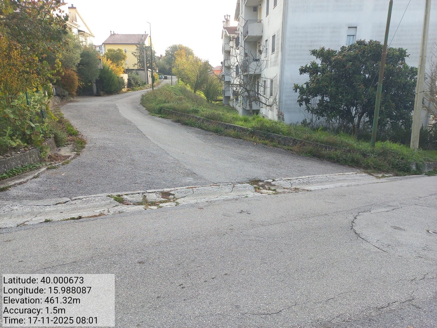 Galleria Fotografica Immagine