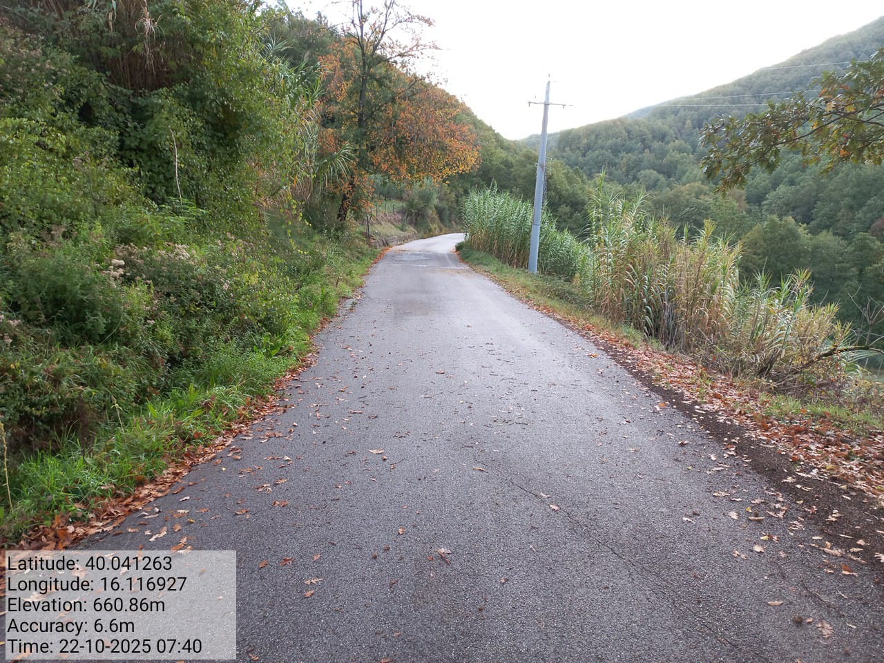 Galleria Fotografica Immagine