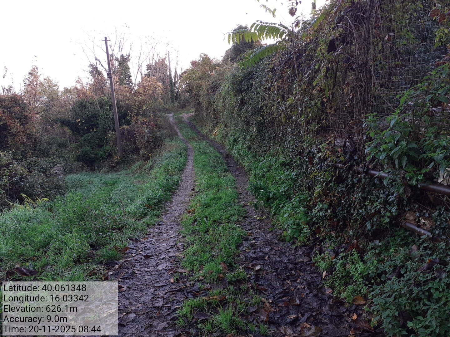 Galleria Fotografica Immagine