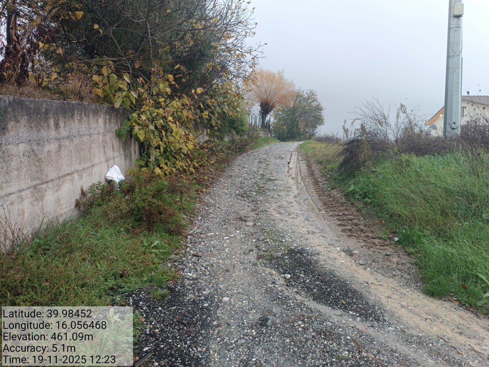 Galleria Fotografica Immagine