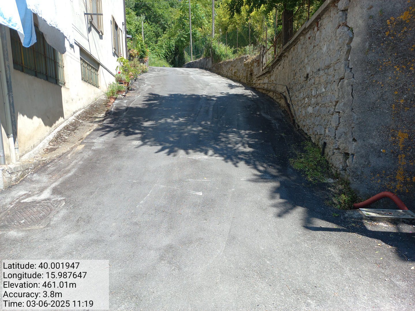 Galleria Fotografica Immagine