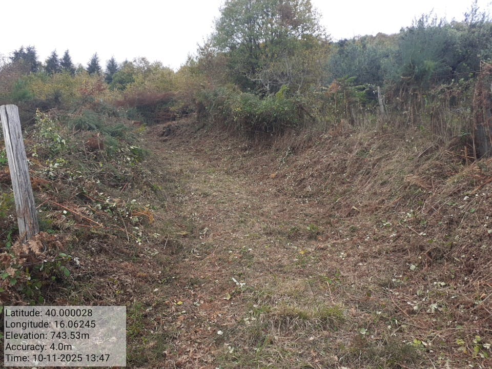 Galleria Fotografica Immagine