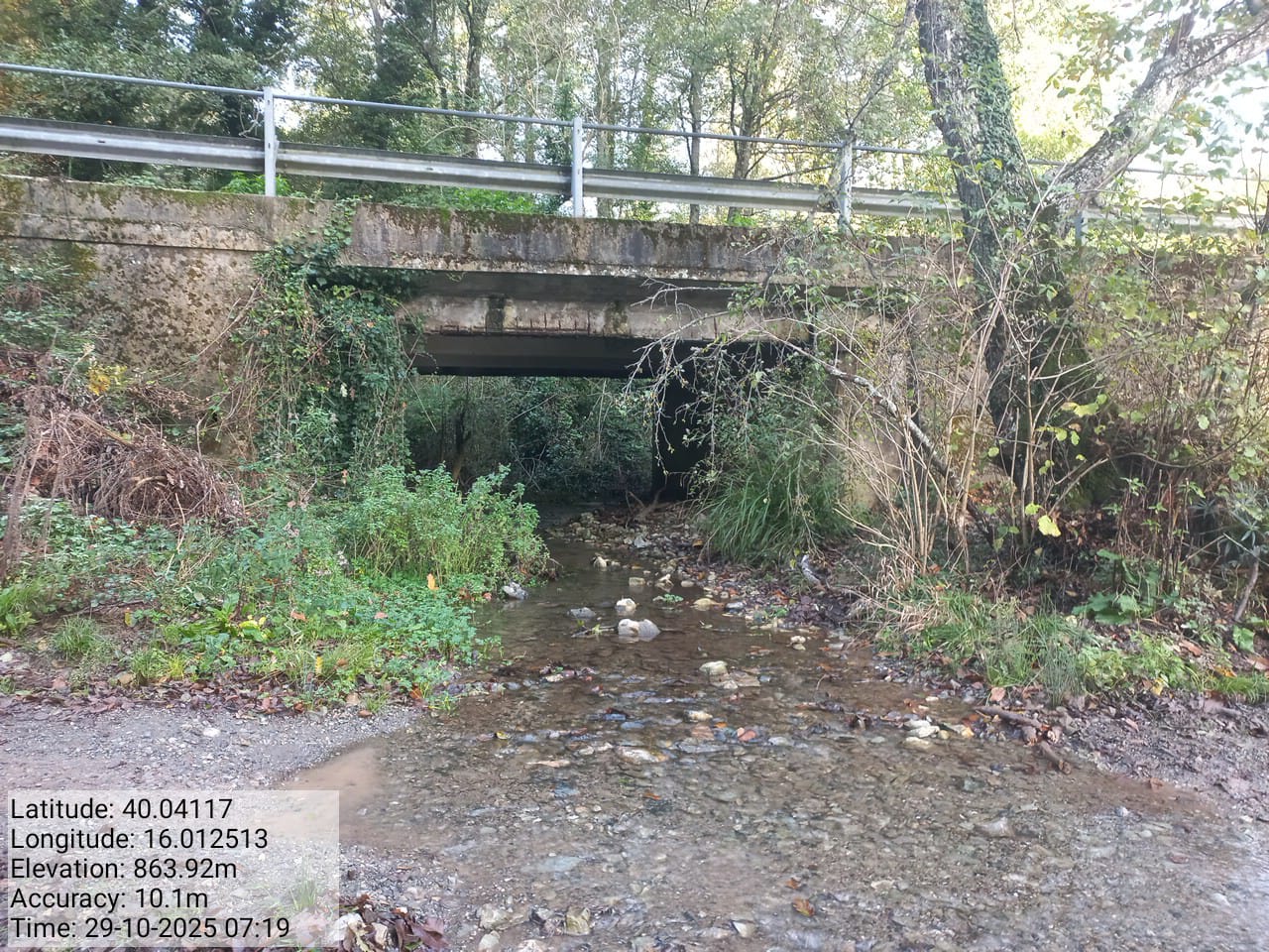 Galleria Fotografica Immagine