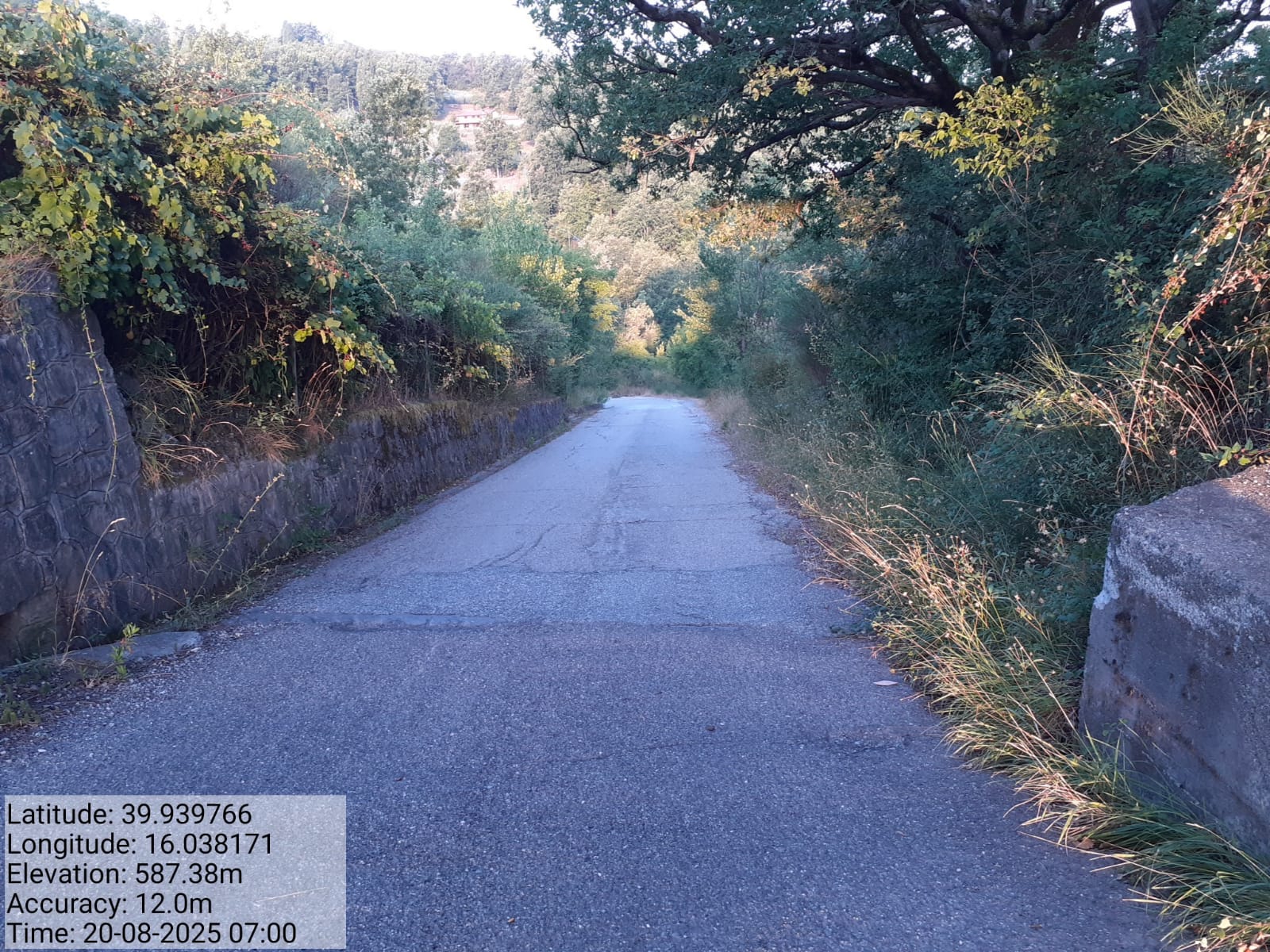 Galleria Fotografica Immagine