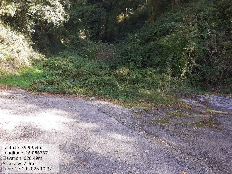 Galleria Fotografica Immagine