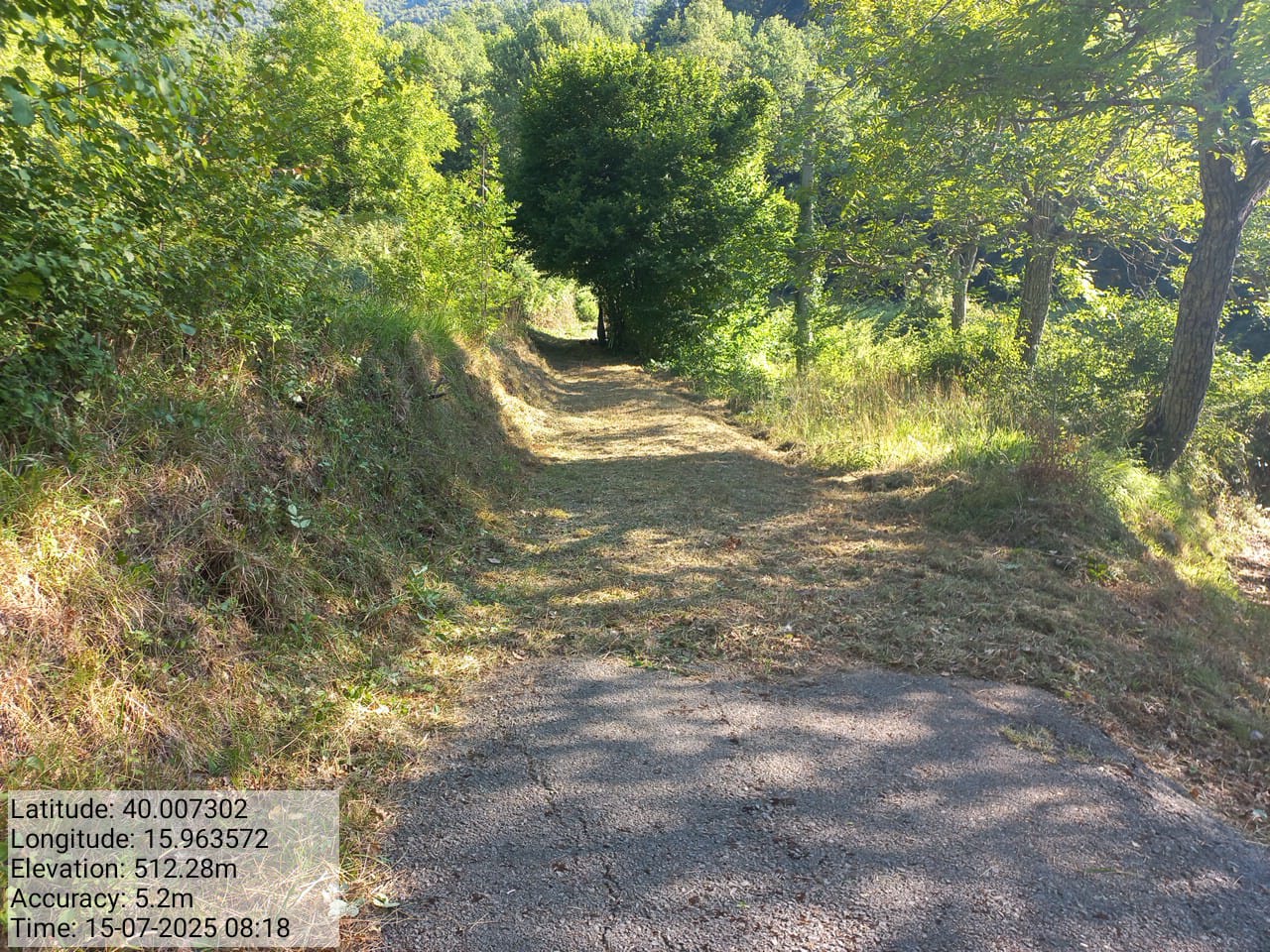 Galleria Fotografica Immagine