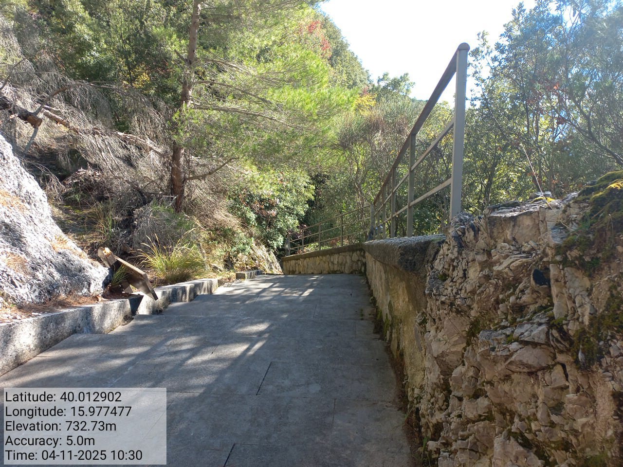 Galleria Fotografica Immagine