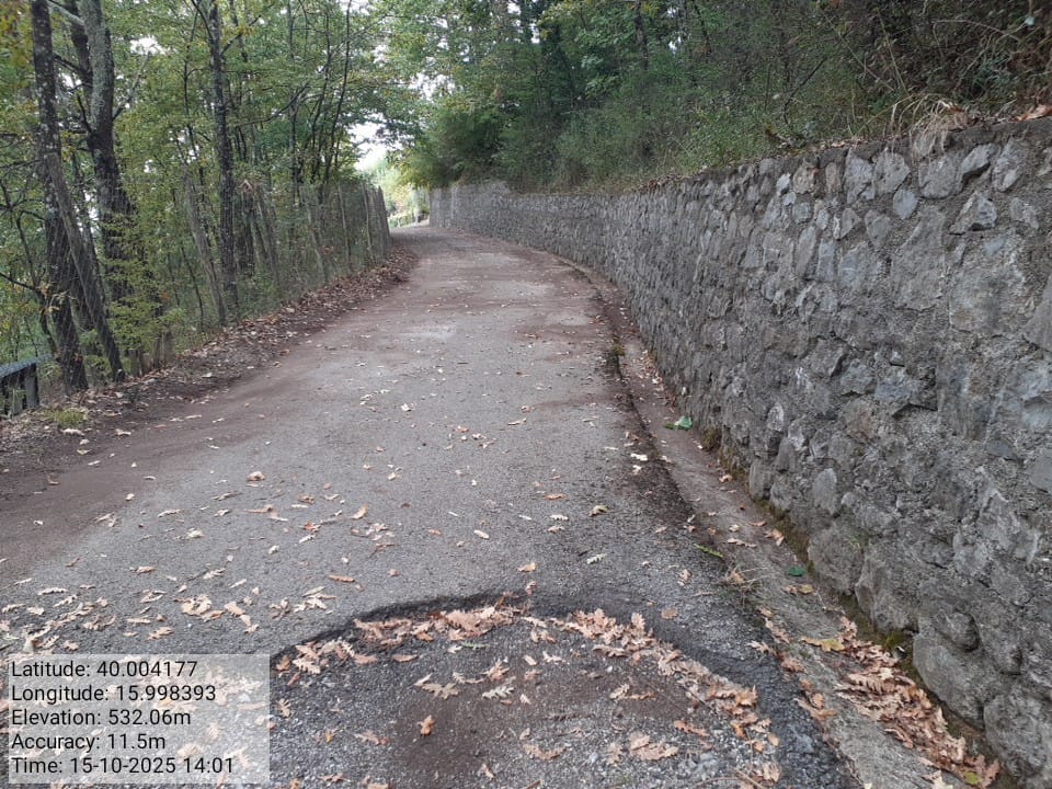 Galleria Fotografica Immagine