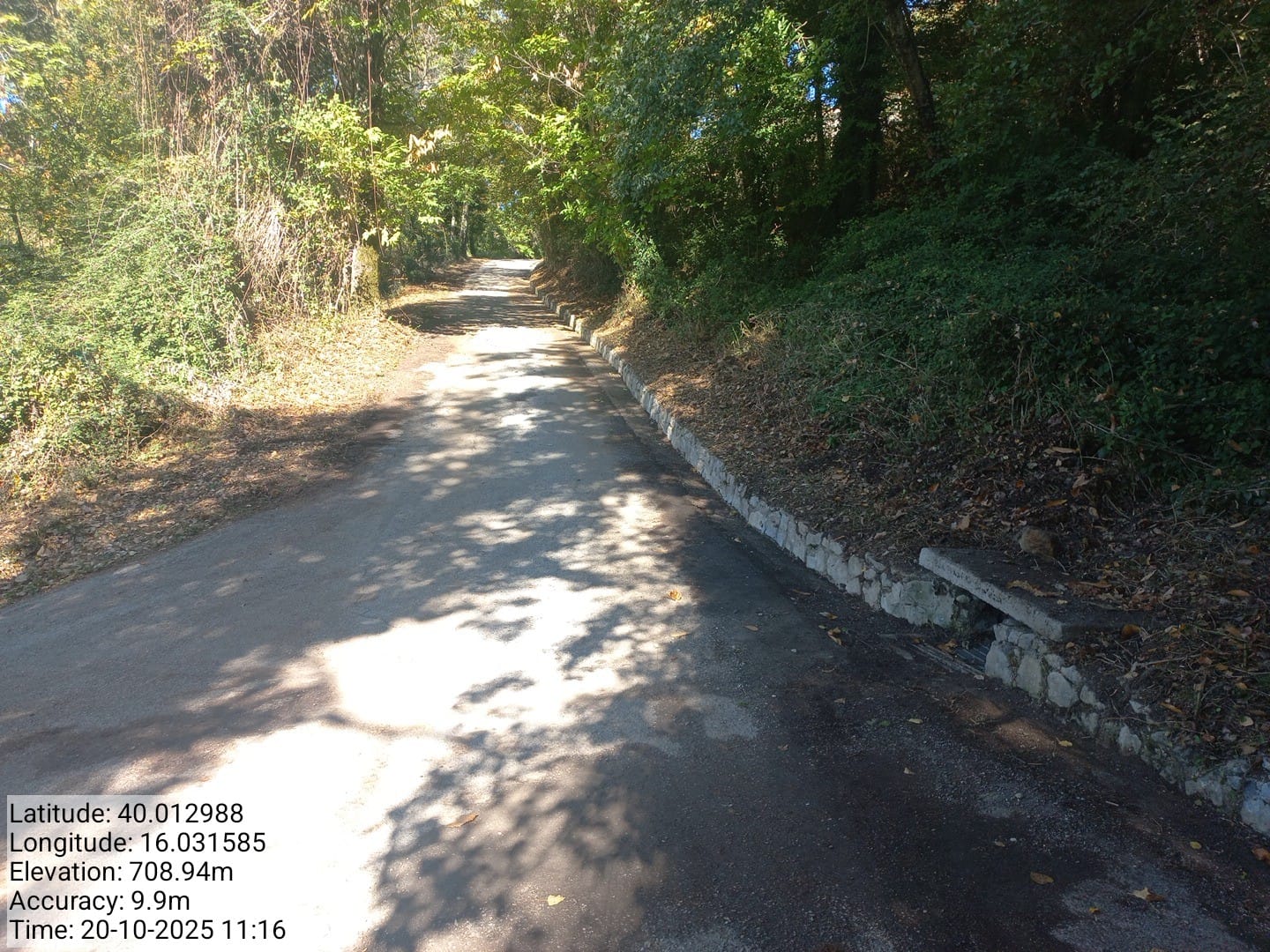 Galleria Fotografica Immagine