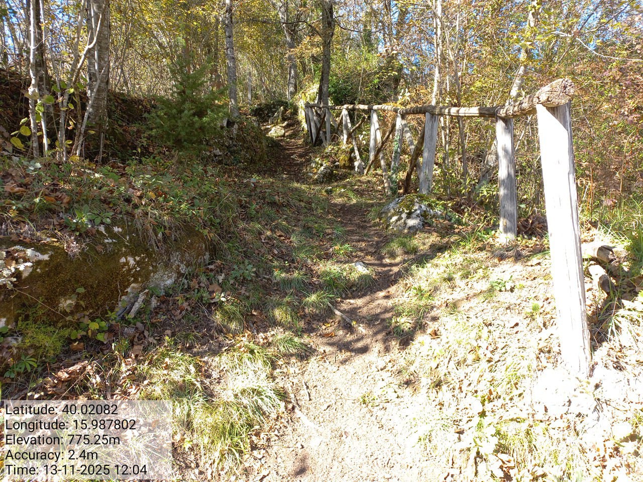 Galleria Fotografica Immagine