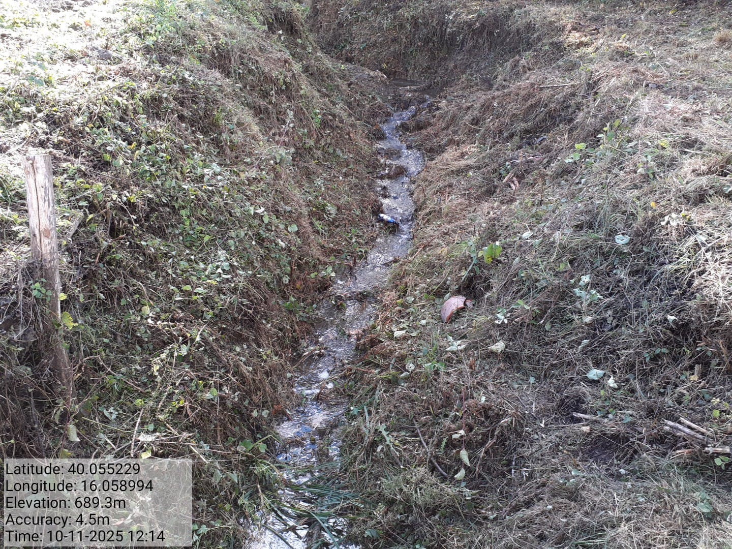 Galleria Fotografica Immagine