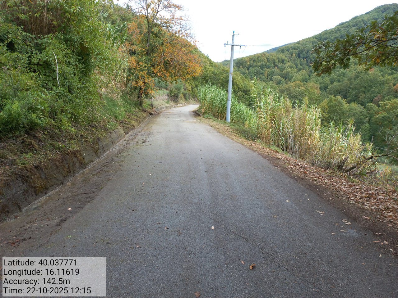 Galleria Fotografica Immagine