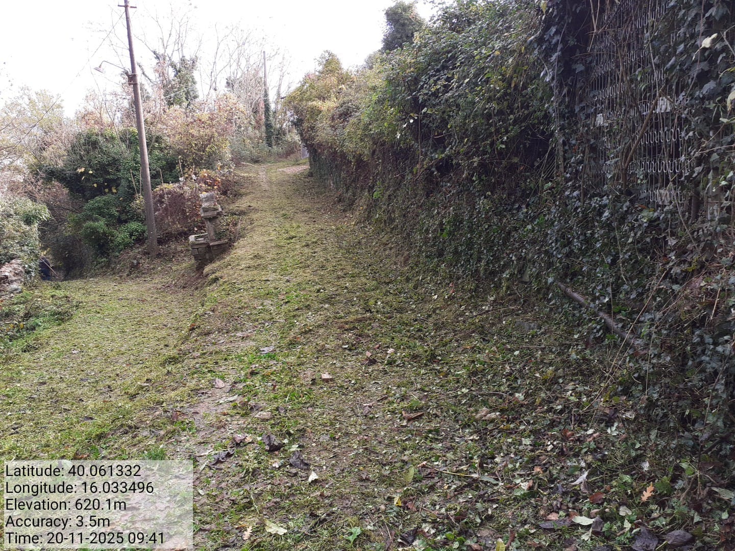 Galleria Fotografica Immagine