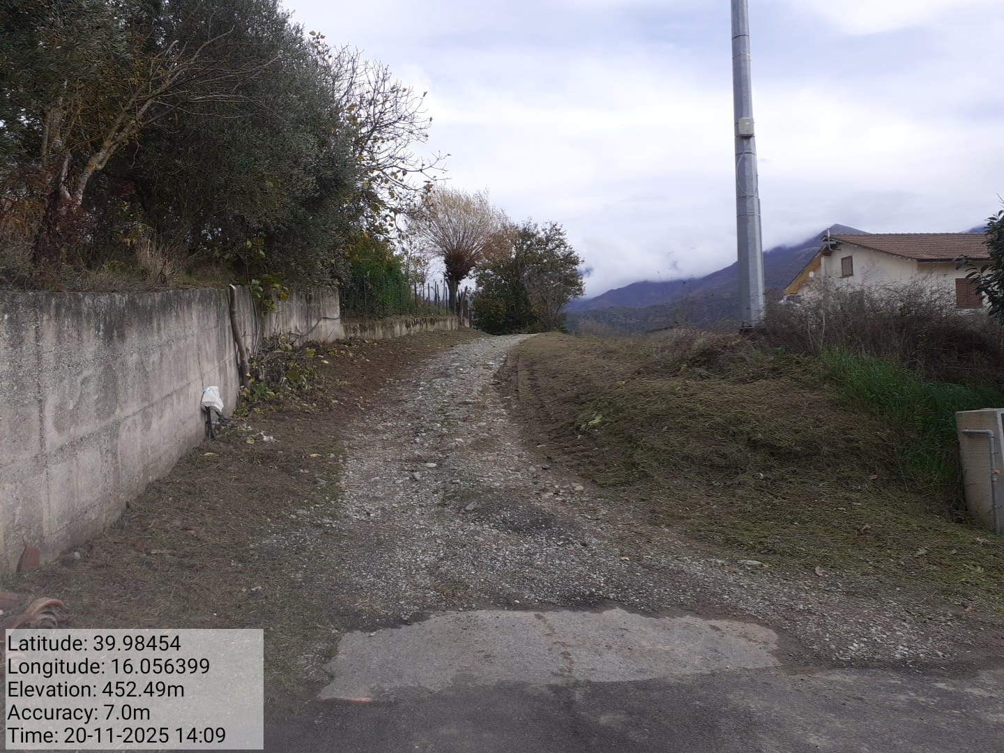 Galleria Fotografica Immagine