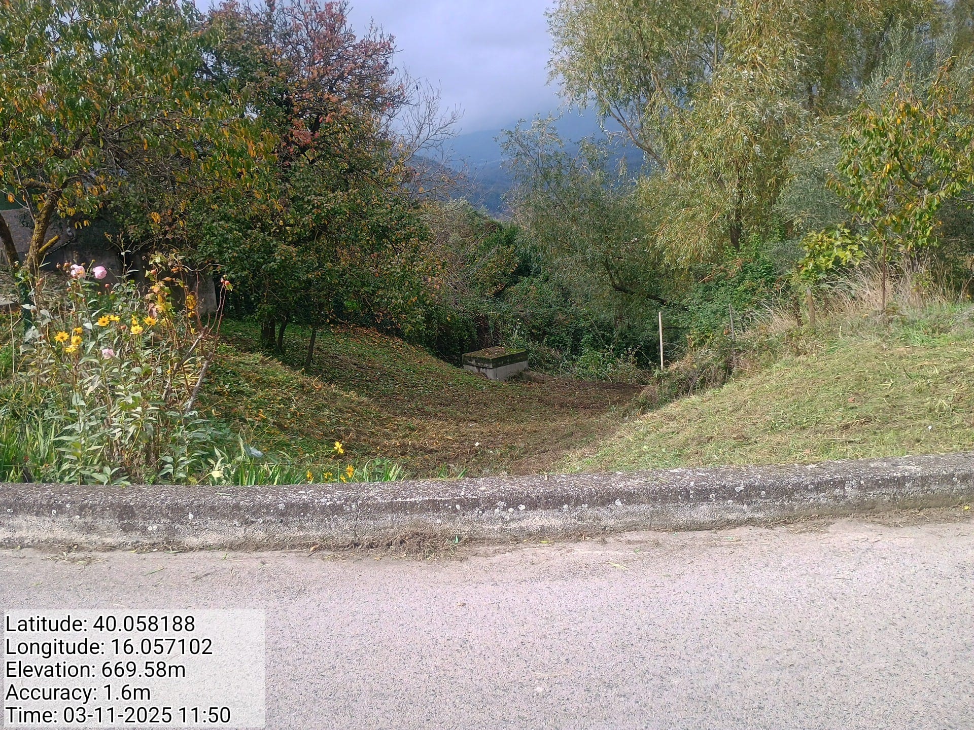 Galleria Fotografica Immagine